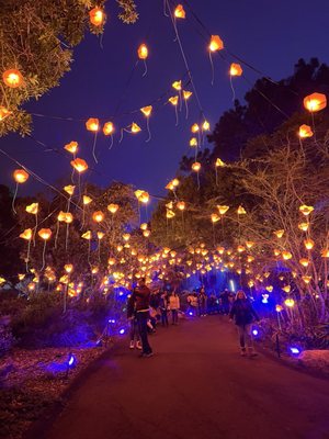 San Diego Botanic Garden by null