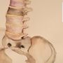 Photo of Smith Chiropractic