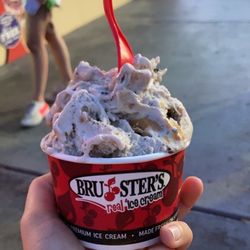 Bruster's Real Ice Cream - Ultimate peanut butter with Oreo and chocolate chip cookie dough