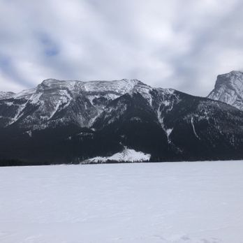 Snowy Owl Sled Dog Tours - Tours Near Me - Canmore, Alberta Snowy Owl Sled Dog Tours - Tours Near Me - Canmore, Alberta