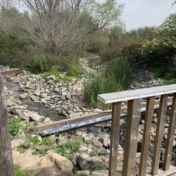 Fairview Park - Split of creeks 2 and 3. - Parks Near Me - Costa Mesa, California Fairview Park - Split of creeks 2 and 3. - Parks Near Me - Costa Mesa, California