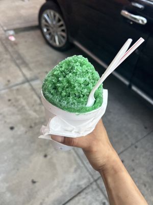 Sno Dreamz by null