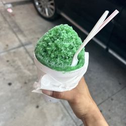 Sno Dreamz - Cactus Juice