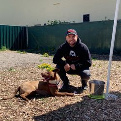 Bark Busters Home Dog Training - Had a great time training rescues at a shelter in Vancouver, British Columbia. This is Lucy, and she did fantastic :-).