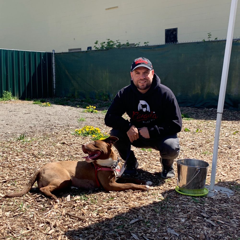 BARK BUSTERS HOME DOG TRAINING Updated September 2024 20 Photos