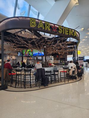 Bar Siena O'Hare by null