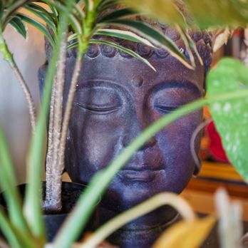 Sun & Moon Tattoo Sanctuary - shop decor - Tattoo Near Me - Wilmington, North Carolina Sun & Moon Tattoo Sanctuary - shop decor - Tattoo Near Me - Wilmington, North Carolina