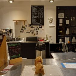Paradox Coffee Shop - Ordering countertop.