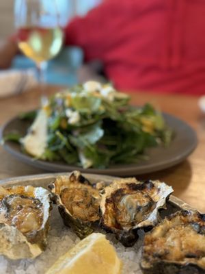 Hog Island Larkspur by null