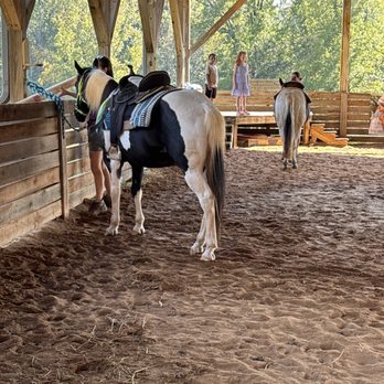 Bit of Hope Ranch - They have some really calm horses - Horseback Riding Near Me - Gastonia, North Carolina Bit of Hope Ranch - They have some really calm horses - Horseback Riding Near Me - Gastonia, North Carolina