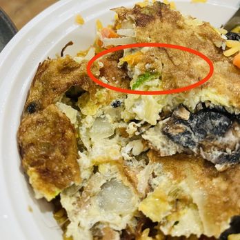 Chef Hong's Restaurant - a plate of food with a fork in it - Chinese Near Me - Staten Island, New York Chef Hong's Restaurant - a plate of food with a fork in it - Chinese Near Me - Staten Island, New York