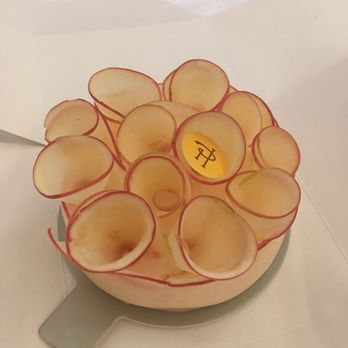 Pierre Hermé - If you order only one thing order this. If you order ten things, order five of these! - Chocolatiers & Shops Near Me - Paris, 75