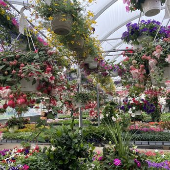 Bell Nurseries - a variety of flowers in a greenhouse - Nurseries & Gardening Near Me - North Haven, Connecticut