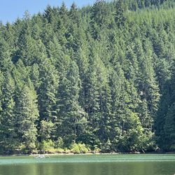 Cooper Creek Reservoir - Water is cool