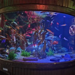 Shreveport Aquarium