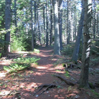 Hendrick Head Hiking Trail - Easy trails to follow - Hiking Near Me Hendrick Head Hiking Trail - Easy trails to follow - Hiking Near Me