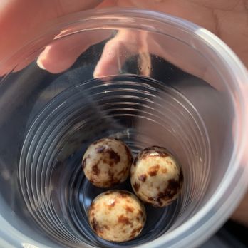 Modern Grind - Espresso beans - Coffee & Tea Near Me - Avondale, Arizona