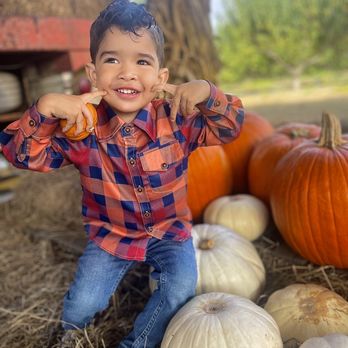 Southern Hill Farms - Pumpkin patch - Fruits & Veggies Near Me - Clermont, Florida