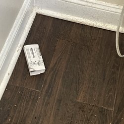 My Guy Pest Professionals - Spring Pest Treatment