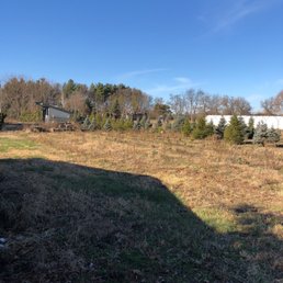 At the tree farm cutting down our own Christmas tree! At the tree farm cutting down our own Christmas tree!