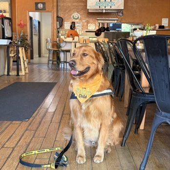 The Copper Q - Four Paws Approval! - Bakeries Near Me - Big Bear Lake, California The Copper Q - Four Paws Approval! - Bakeries Near Me - Big Bear Lake, California