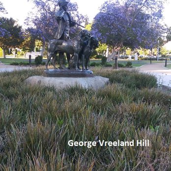 Beverly Gardens Park - Beverly Gardens Park in Beverly Hills. Photo by, George Vreeland Hill - Parks Near Me - Beverly Hills, California Beverly Gardens Park - Beverly Gardens Park in Beverly Hills. Photo by, George Vreeland Hill - Parks Near Me - Beverly Hills, California