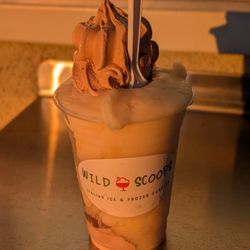 Wild Scoops