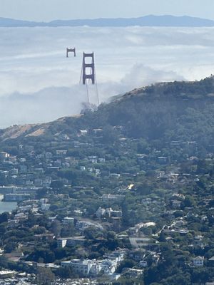 Seaplane Adventures by null