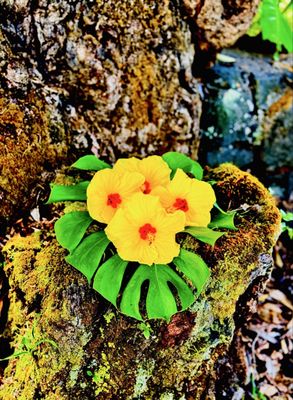 Rainbow Falls by null