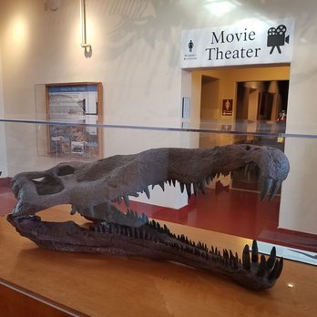 Rainbow Forest Museum And Visitor Center - Museums Near Me - Holbrook, Arizona