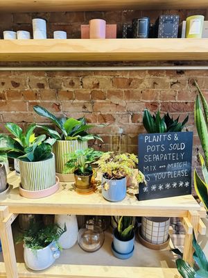 Gia and the Blooms -OTR by null