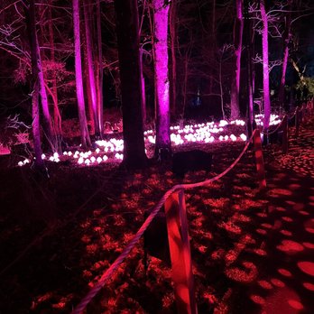Harry Potter - A Forbidden Forest Experience - Walking Tours Near Me - Yorktown Heights, New York Harry Potter - A Forbidden Forest Experience - Walking Tours Near Me - Yorktown Heights, New York