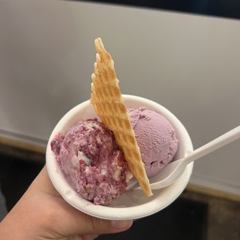 Jeni's Splendid Ice Creams - Brambleberry Crisp and Wildberry Lavender - Ice Cream & Frozen Yogurt Near Me - Dallas, Texas