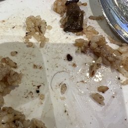 Small piece of hair under my rice. Small piece of hair under my rice.