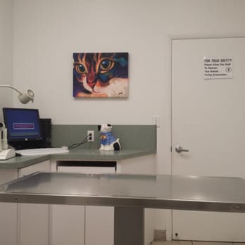 Veterinary Eye Institute - Veterinarians Near Me - Deerfield Beach, Florida Veterinary Eye Institute - Veterinarians Near Me - Deerfield Beach, Florida