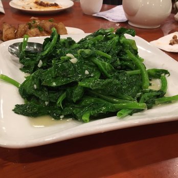 Joyale Seafood Restaurant - A close-up of the stir-fried greens - Seafood Near Me - Seattle, Washington Joyale Seafood Restaurant - A close-up of the stir-fried greens - Seafood Near Me - Seattle, Washington