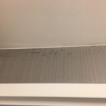 Courtyard by Marriott Houston City Place - Mold growing on the walls - Hotels Near Me - Spring, Texas Courtyard by Marriott Houston City Place - Mold growing on the walls - Hotels Near Me - Spring, Texas