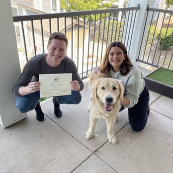 Mary's Angels Dog Training - Pet Training Near Me - San Rafael, California
