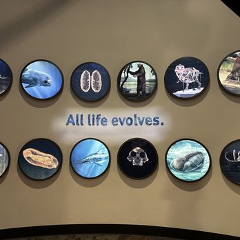 Field Museum - All life evolves - Museums Near Me - Chicago, Illinois Field Museum - All life evolves - Museums Near Me - Chicago, Illinois