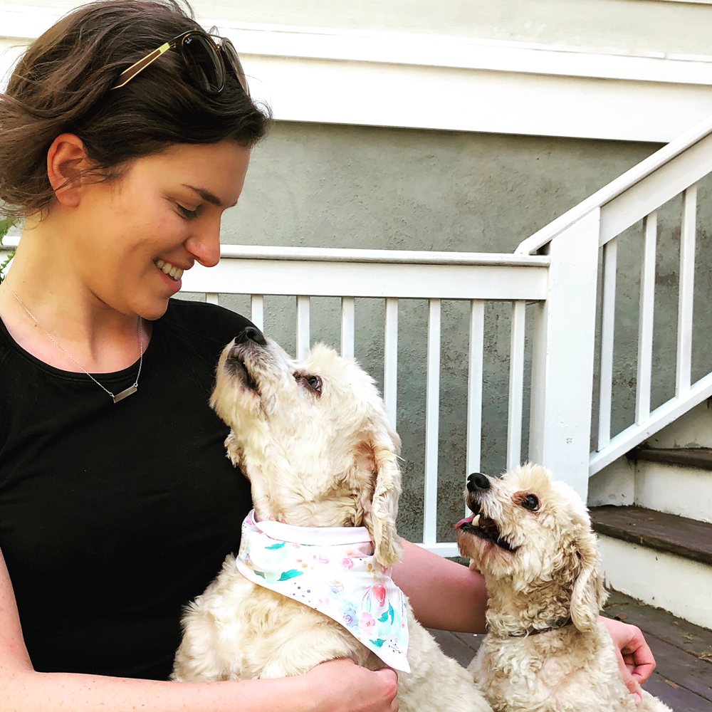 Charleston Pet Sitting - pet boarding facility in Dewees Island, SC