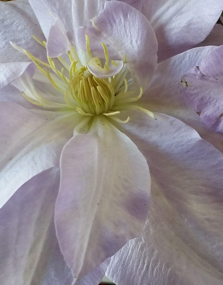 Psychic Counseling with Becky Grabski - grief counselor in Salem, VA