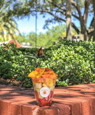 Ybor City Saturday Market by null