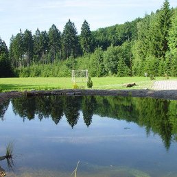 Waldhotel Vogtland - Hotels Near Me - Klingenthal, SN