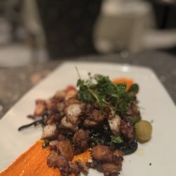 Potente - Octopus