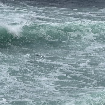 La Jolla Cove - Parks Near Me - La Jolla, California