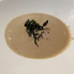63 Degrees - Mushroom soup