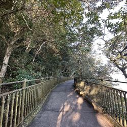山頂環迴步行徑 - The trail