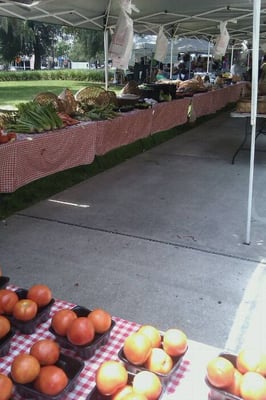 Orlando Farmers' Market by null