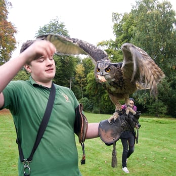 Dalhousie Castle Hotel - Falconry lessons... with an owl... it's a little confusing but mostly awesome - Hotels Near Me - Edinburgh, MLN