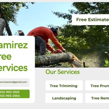 Ramirez Tree Services - Our tree cutting specialist are ready to help any time. - Tree Services Near Me Ramirez Tree Services - Our tree cutting specialist are ready to help any time. - Tree Services Near Me